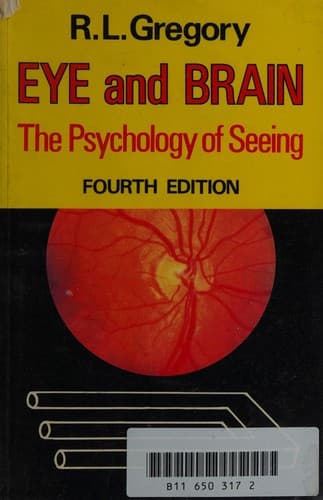 Eye and brain