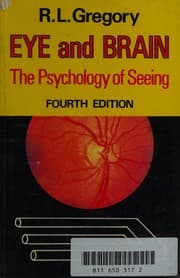 Eye and brain