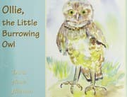 Ollie, the little burrowing owl