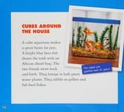Cubes
