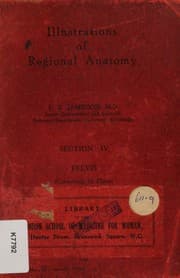 Illustrations of regional anatomy