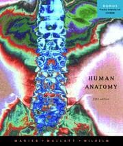 Human Anatomy